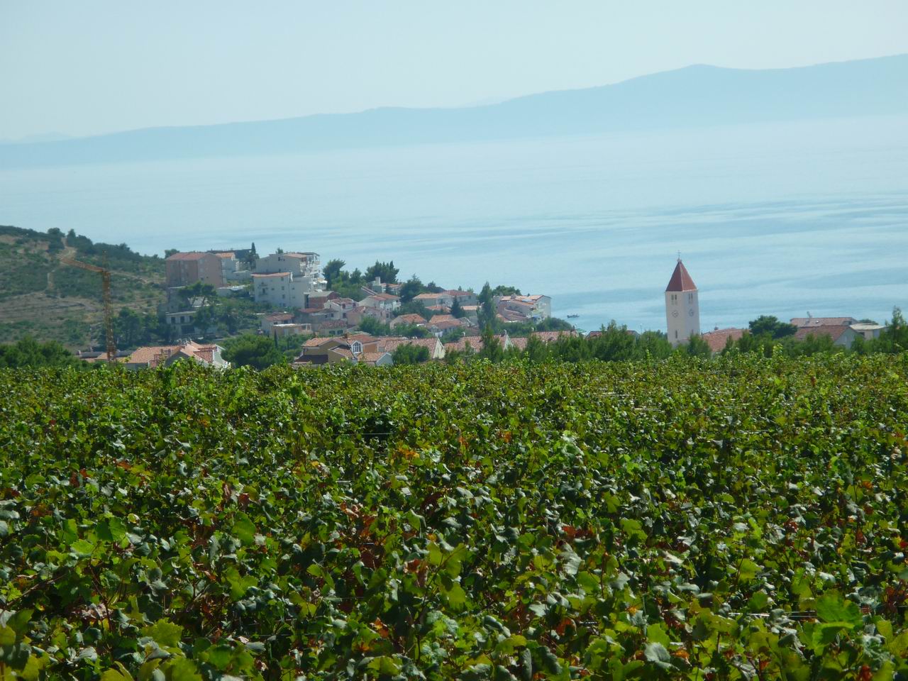 albanie_440.jpg