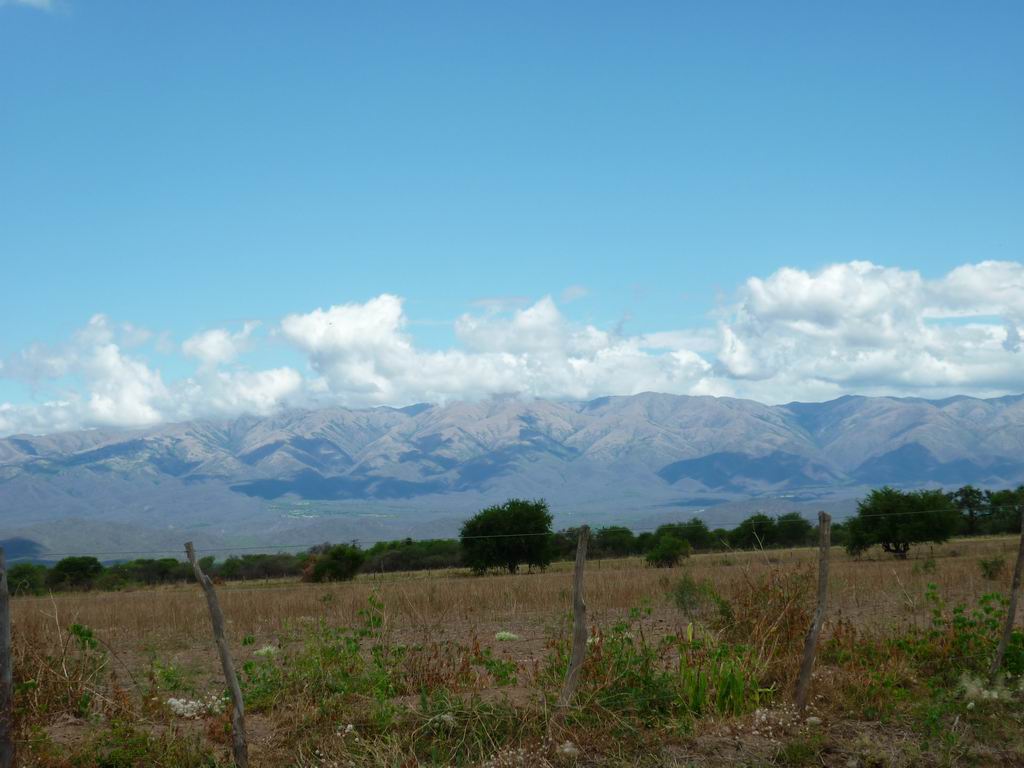 argentine_494.jpg