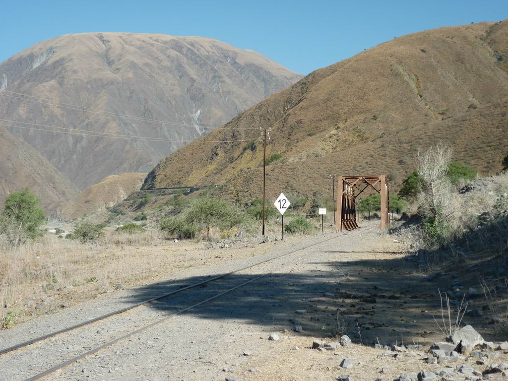argentine_807.jpg