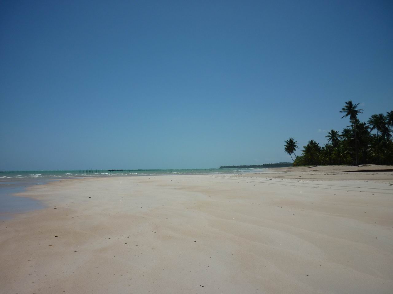 bresil_504.jpg