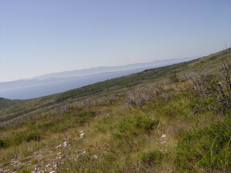 photo505_croatie_hvar.jpg