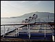 photo446_croatie_sur_le_ferry_de_korcula_a_dubrovnik.jpg
