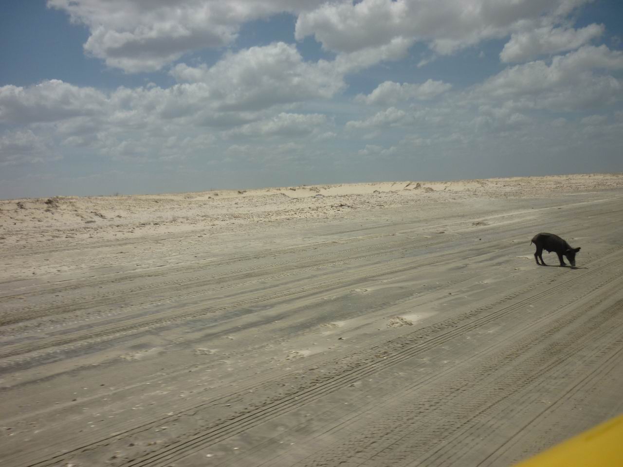 trip_fortaleza_jericoacoara0544.jpg