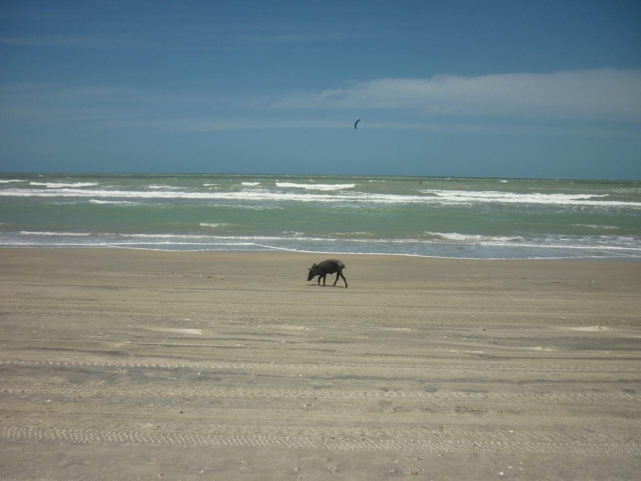 trip_fortaleza_jericoacoara0545.jpg