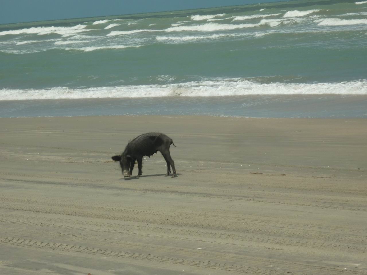 trip_fortaleza_jericoacoara0546.jpg