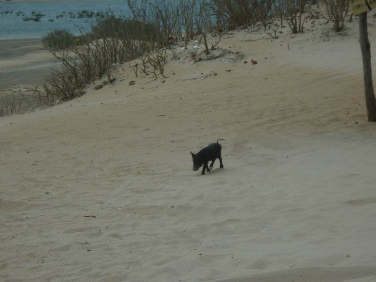 trip_fortaleza_jericoacoara0559.jpg