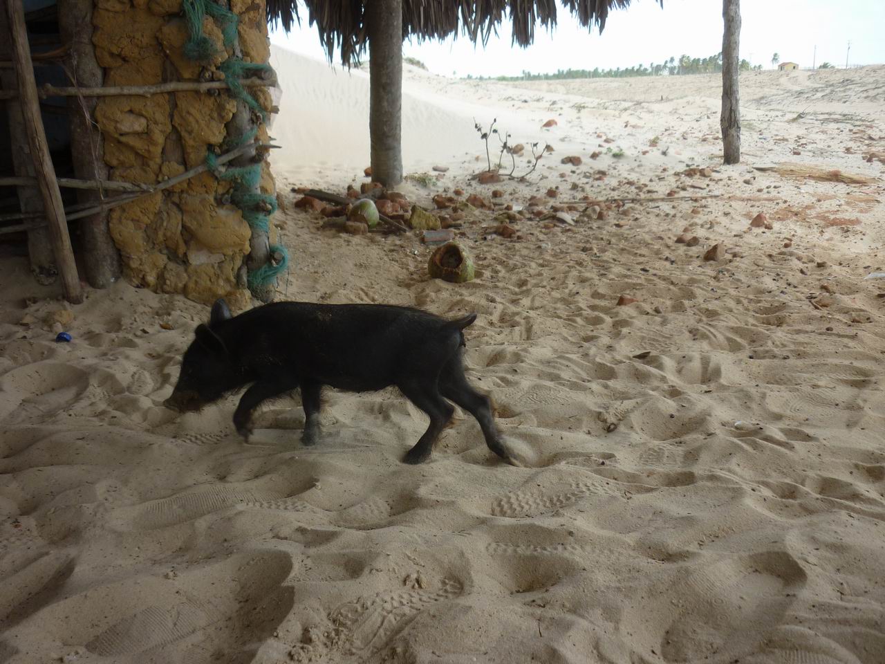 trip_fortaleza_jericoacoara0560.jpg