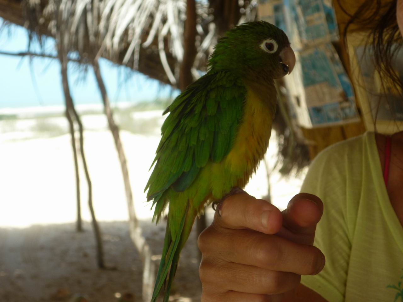 trip_fortaleza_jericoacoara0565.jpg