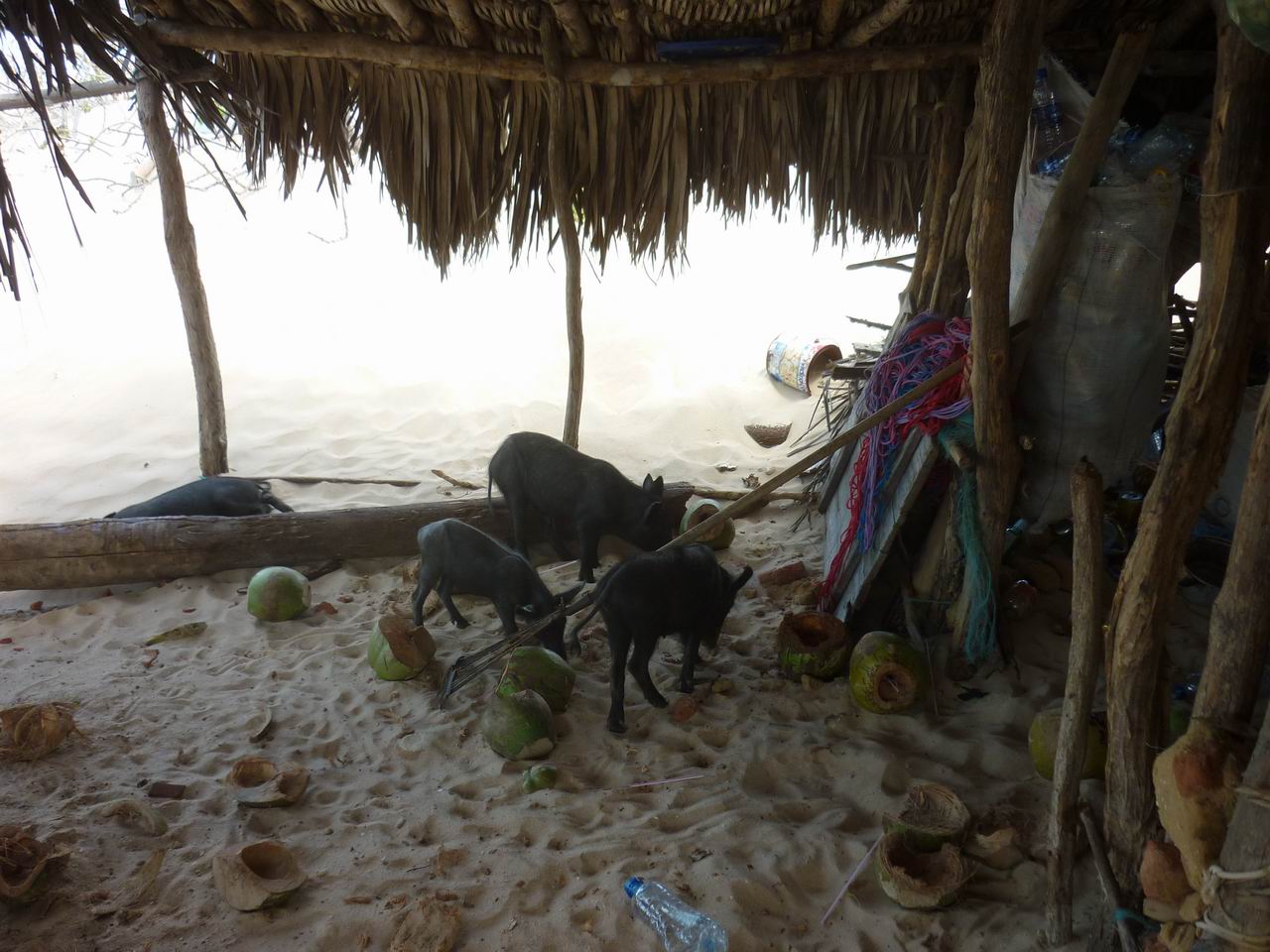 trip_fortaleza_jericoacoara0572.jpg
