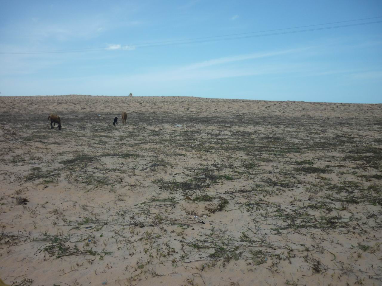 trip_fortaleza_jericoacoara0582.jpg