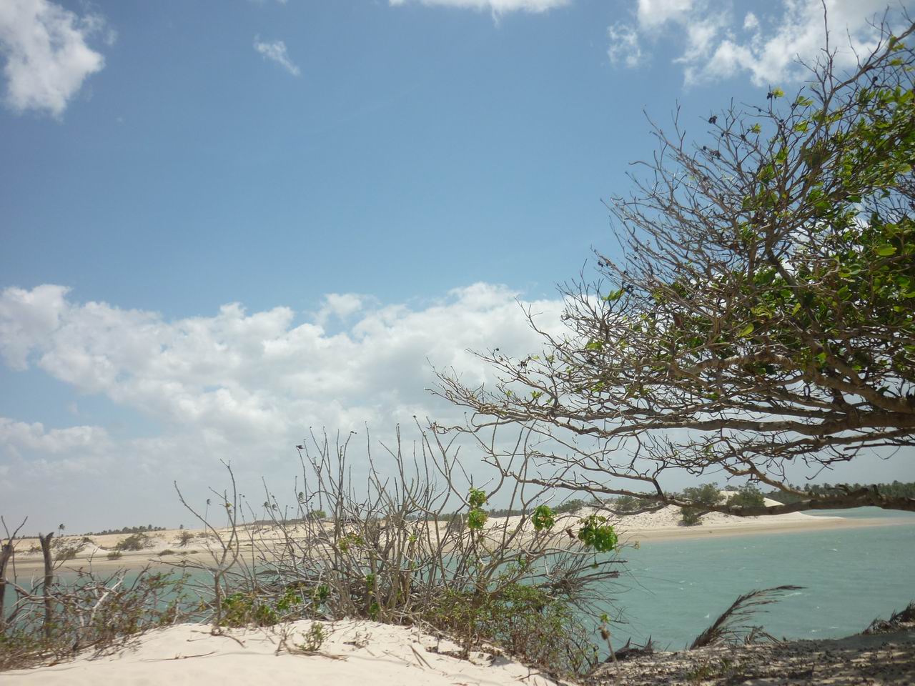 trip_fortaleza_jericoacoara0595.jpg