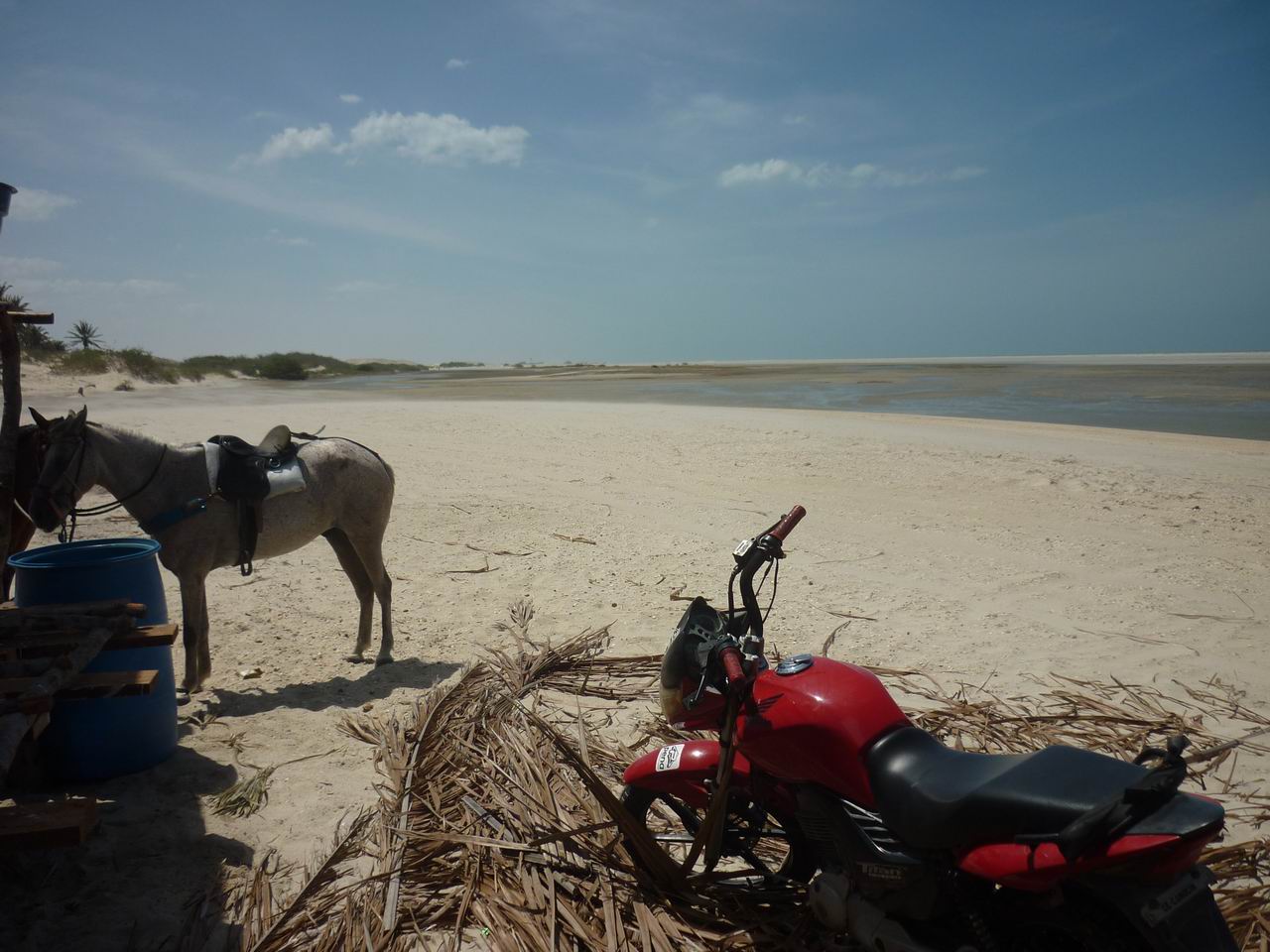trip_fortaleza_jericoacoara0603.jpg