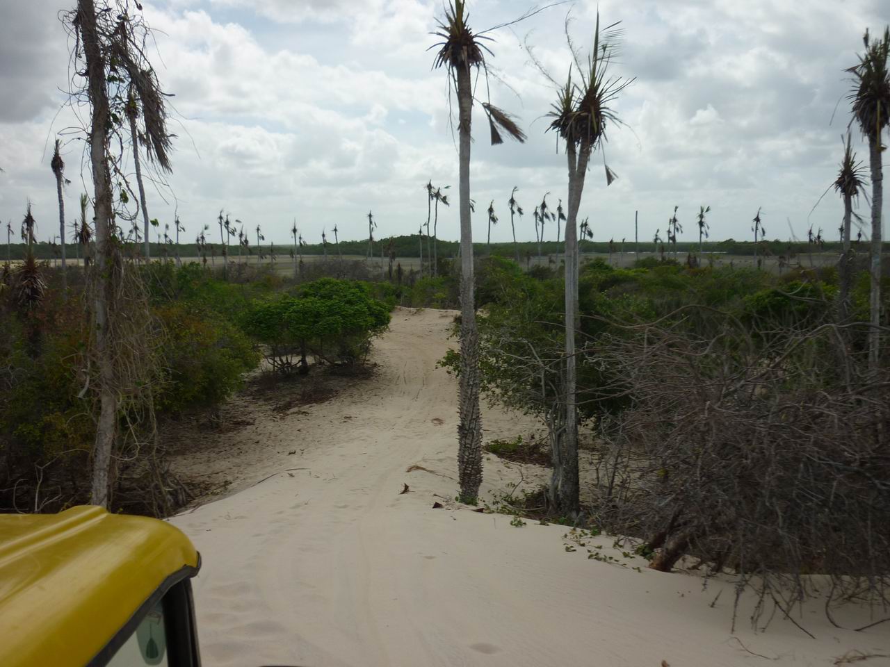 trip_fortaleza_jericoacoara0671.jpg