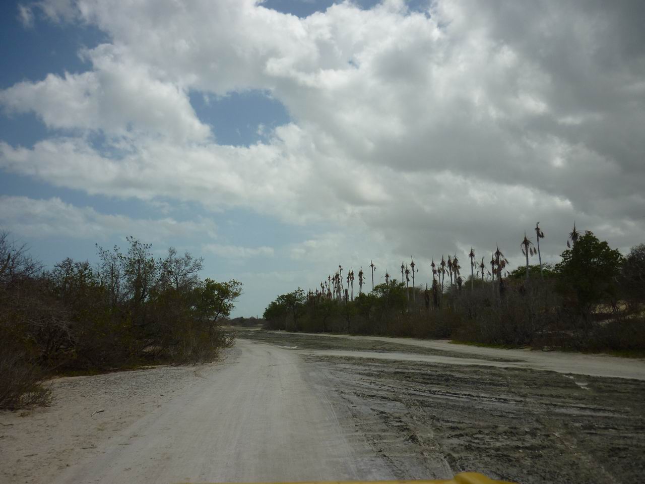 trip_fortaleza_jericoacoara0672.jpg