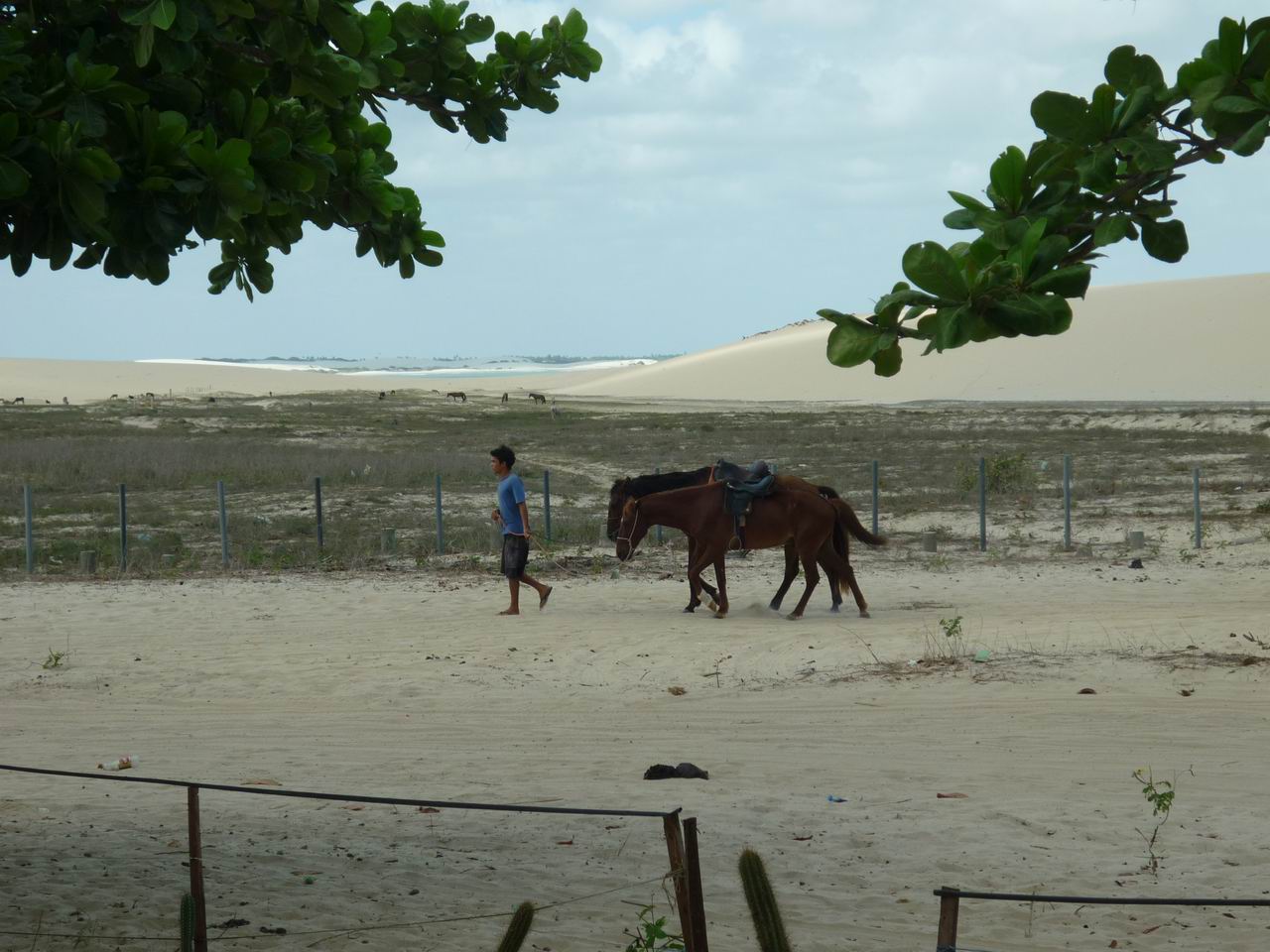 trip_fortaleza_jericoacoara0716.jpg