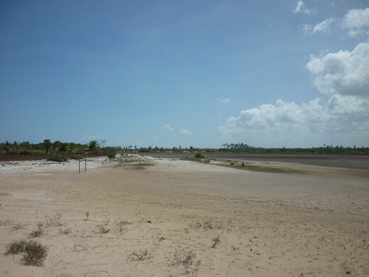 trip_fortaleza_jericoacoara0718.jpg
