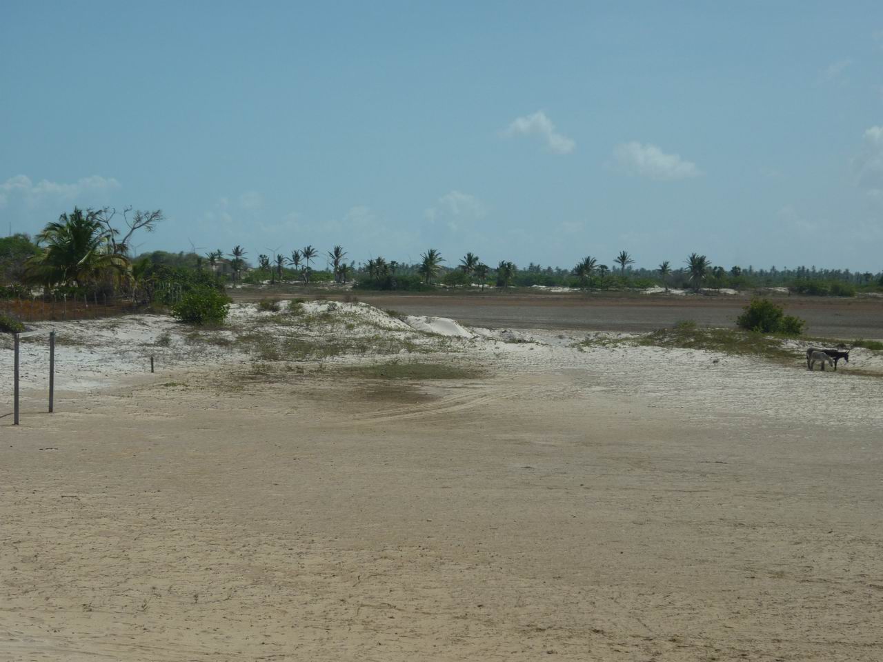trip_fortaleza_jericoacoara0719.jpg