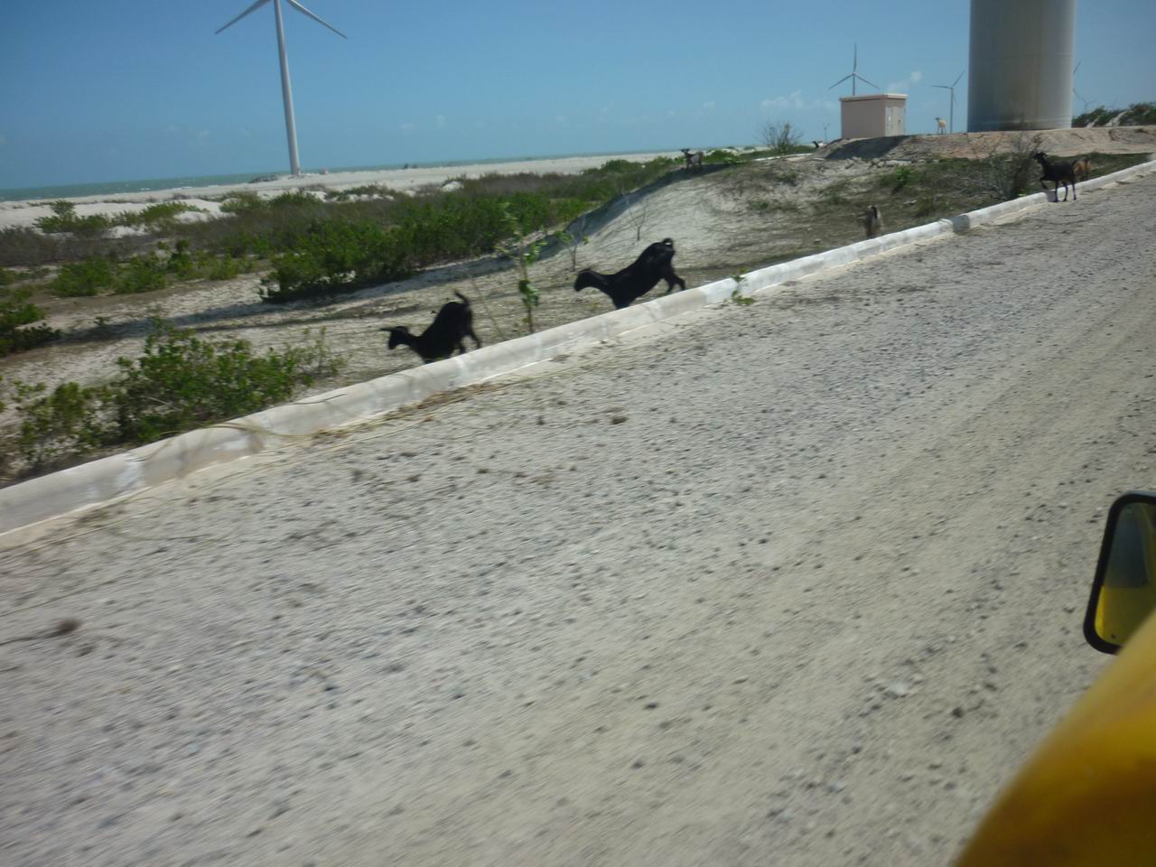 trip_fortaleza_jericoacoara0739.jpg