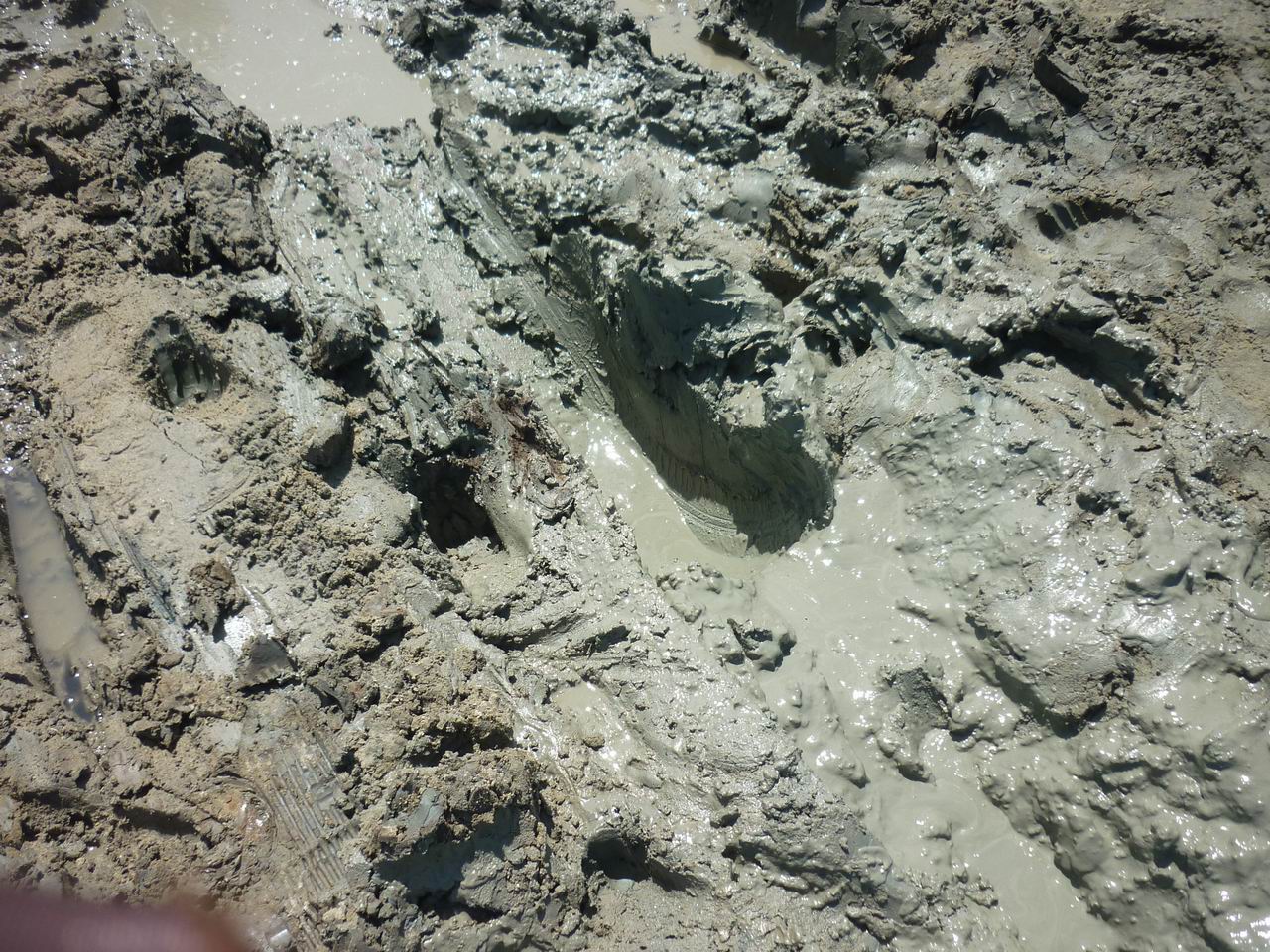 trip_fortaleza_jericoacoara0755.jpg
