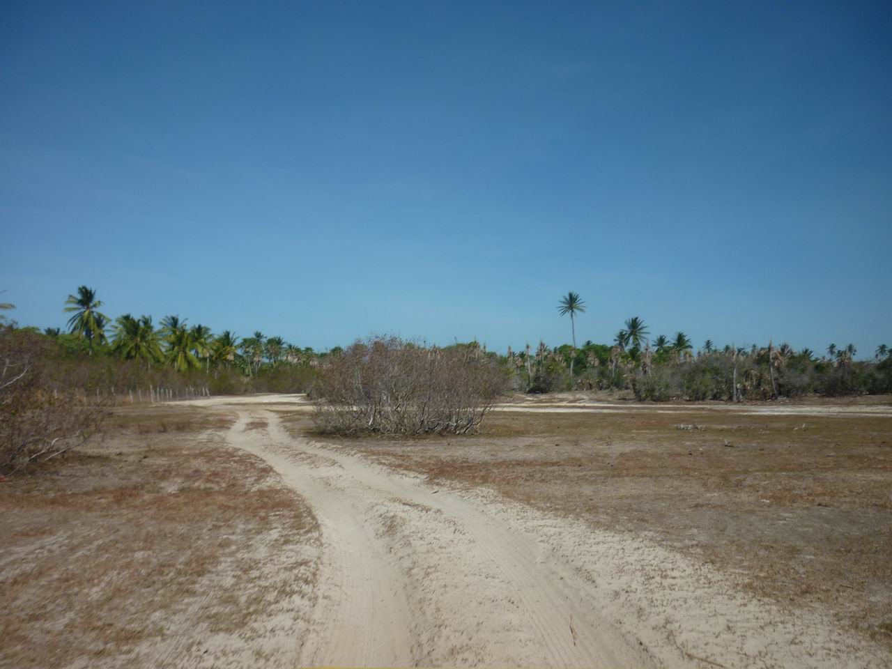 trip_fortaleza_jericoacoara0811.jpg