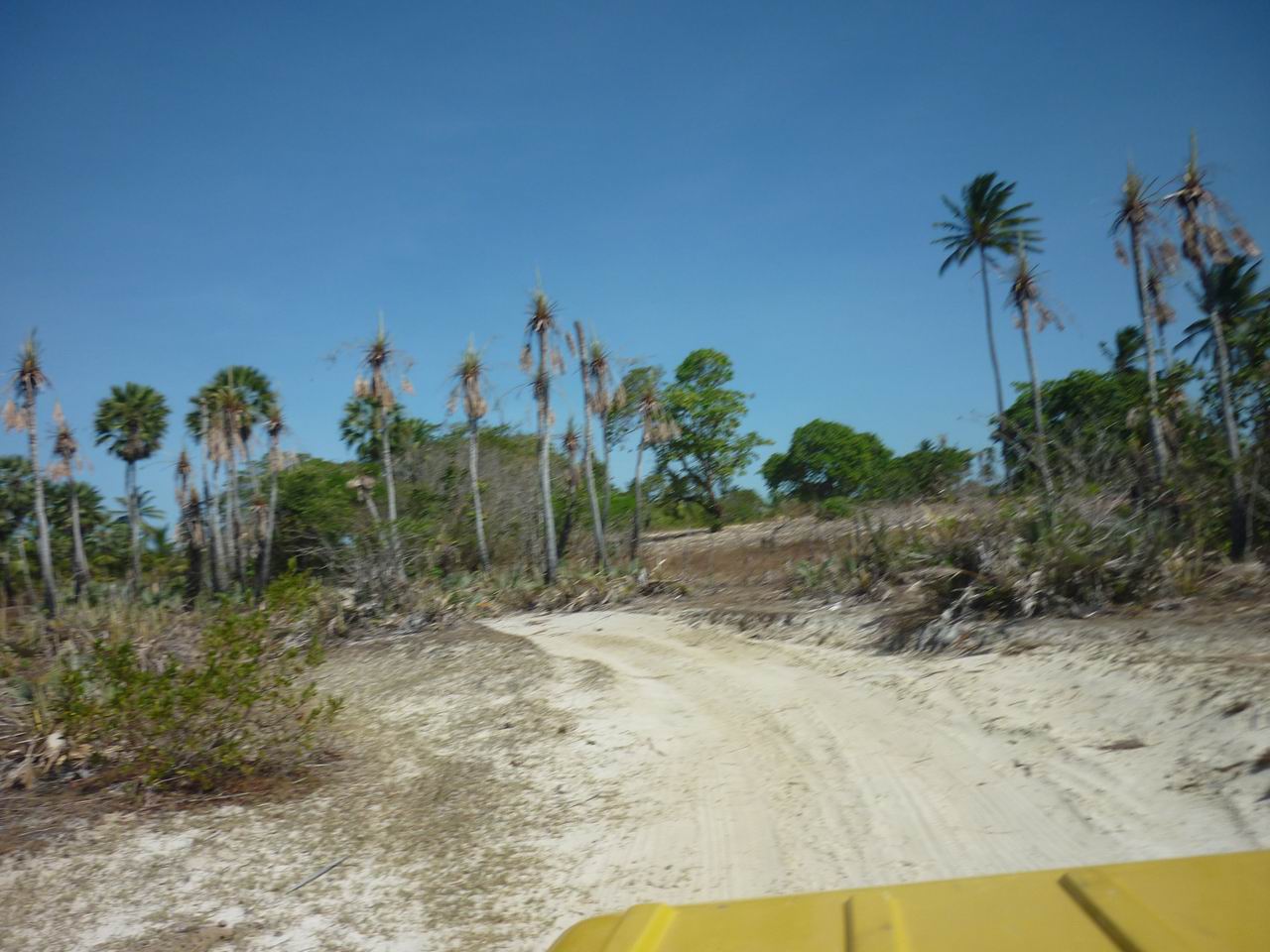 trip_fortaleza_jericoacoara0812.jpg