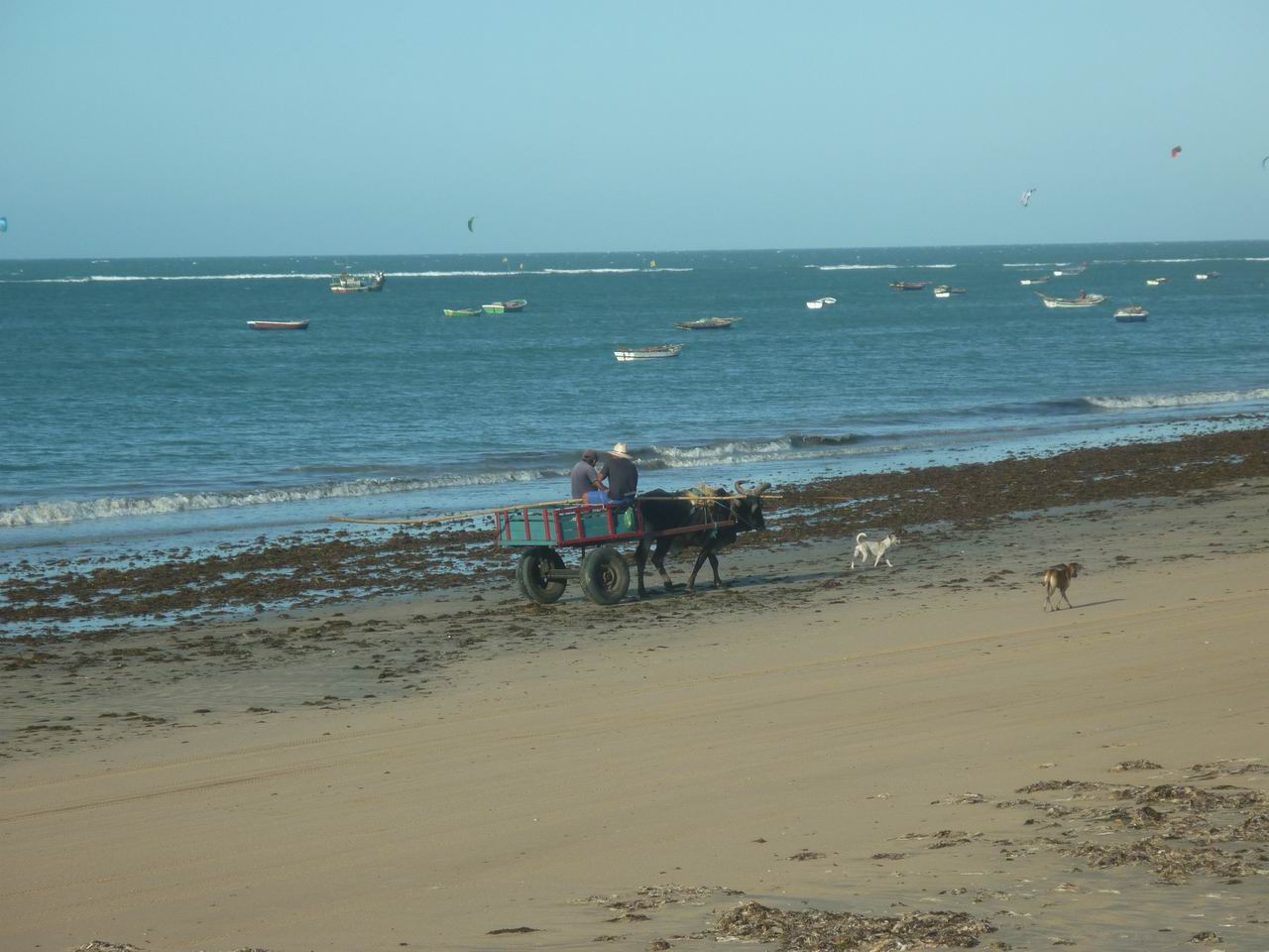 trip_fortaleza_jericoacoara0846.jpg