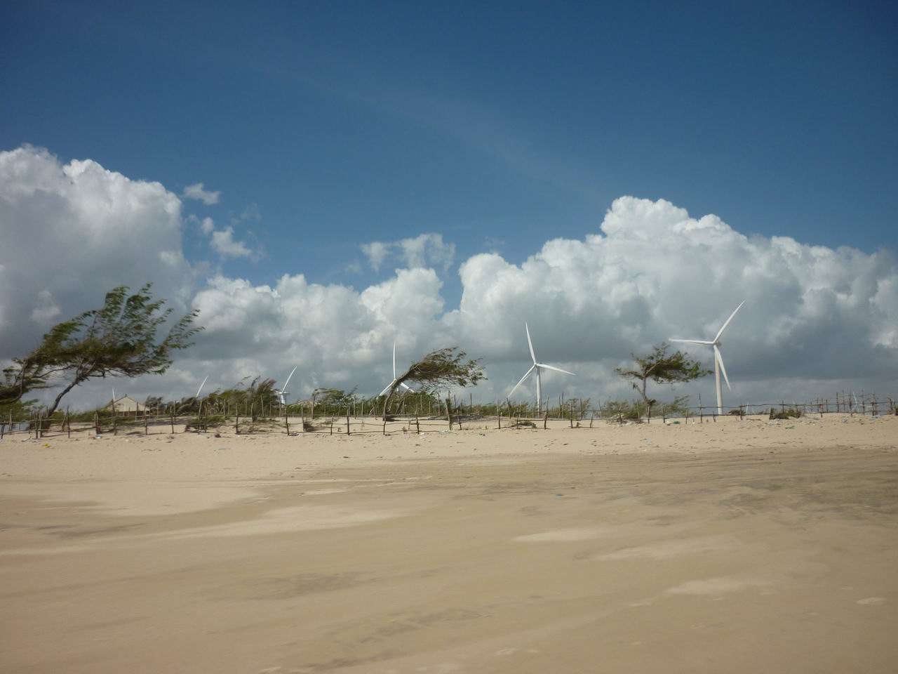 trip_fortaleza_jericoacoara0948.jpg