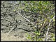 trip_fortaleza_jericoacoara0624.jpg