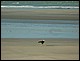 trip_fortaleza_jericoacoara0646.jpg