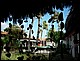 trip_fortaleza_jericoacoara0663.jpg