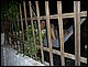 trip_fortaleza_jericoacoara0713.jpg