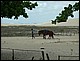trip_fortaleza_jericoacoara0716.jpg