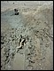 trip_fortaleza_jericoacoara0757.jpg