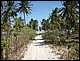 trip_fortaleza_jericoacoara0796.jpg