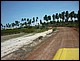 trip_fortaleza_jericoacoara0805.jpg