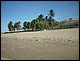 trip_fortaleza_jericoacoara0833.jpg