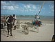 trip_fortaleza_jericoacoara0893.jpg