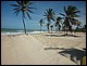 trip_fortaleza_jericoacoara0979.jpg