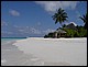 maldives153.jpg