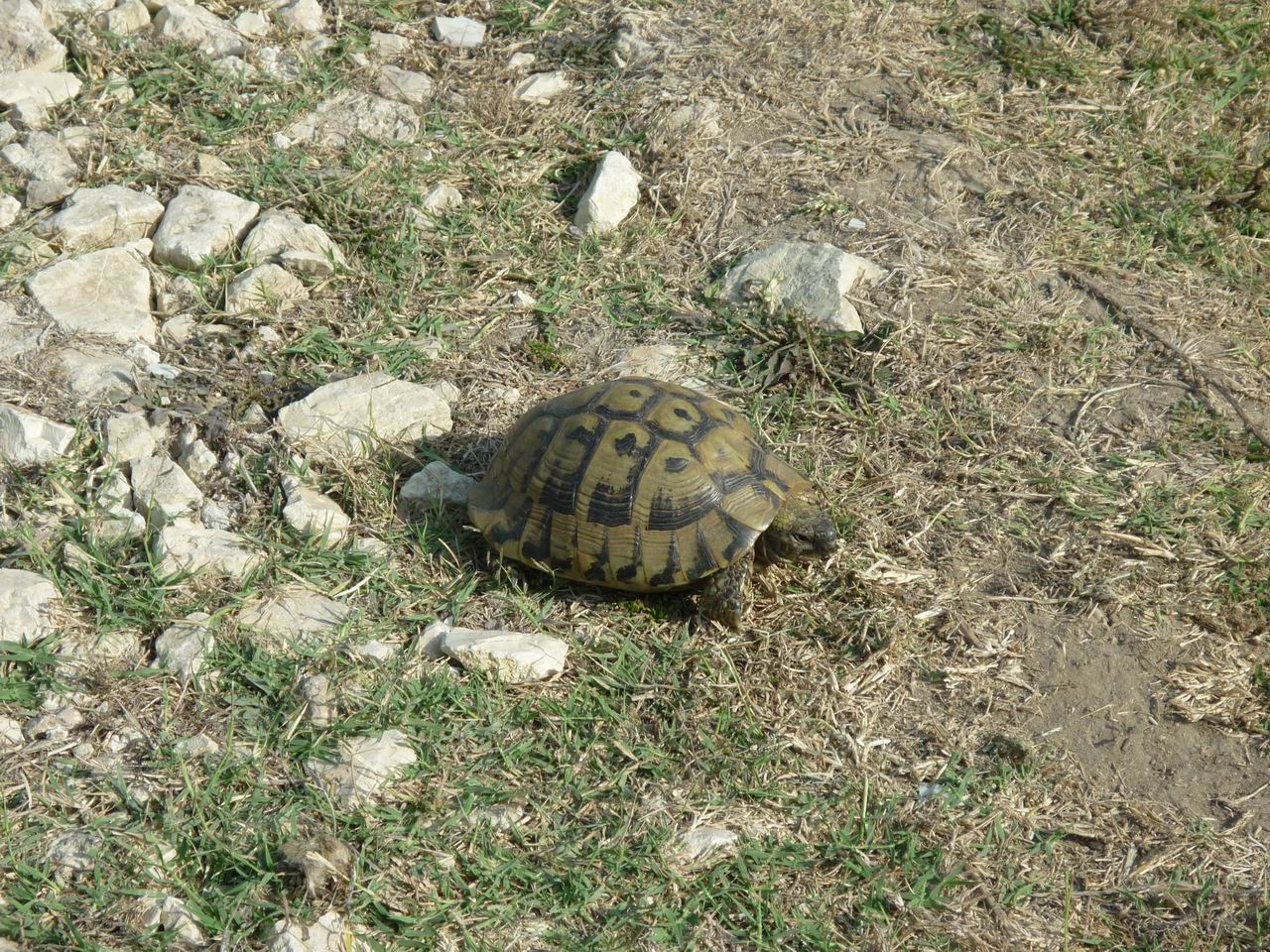 albanie_371.jpg