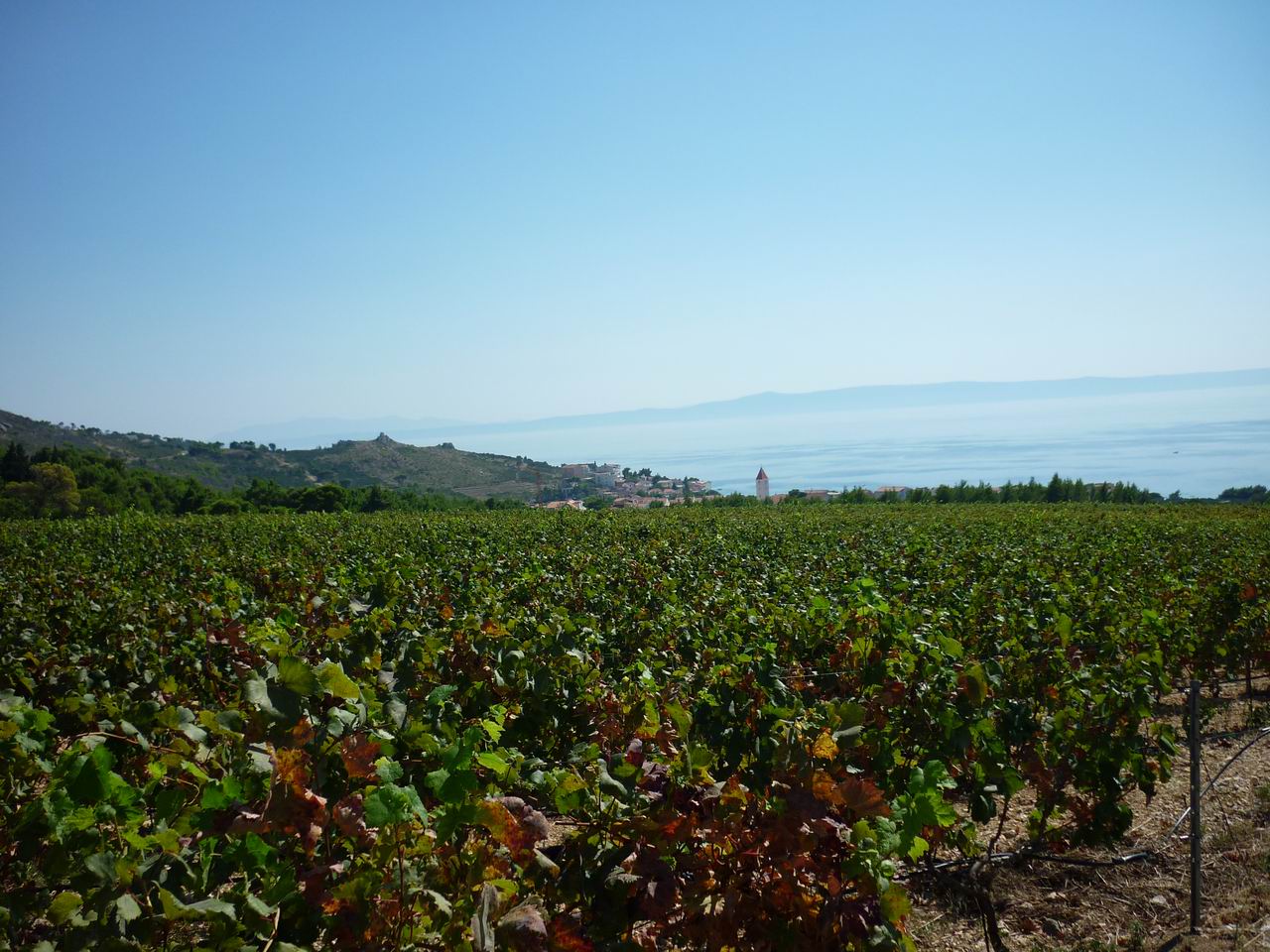albanie_439.jpg
