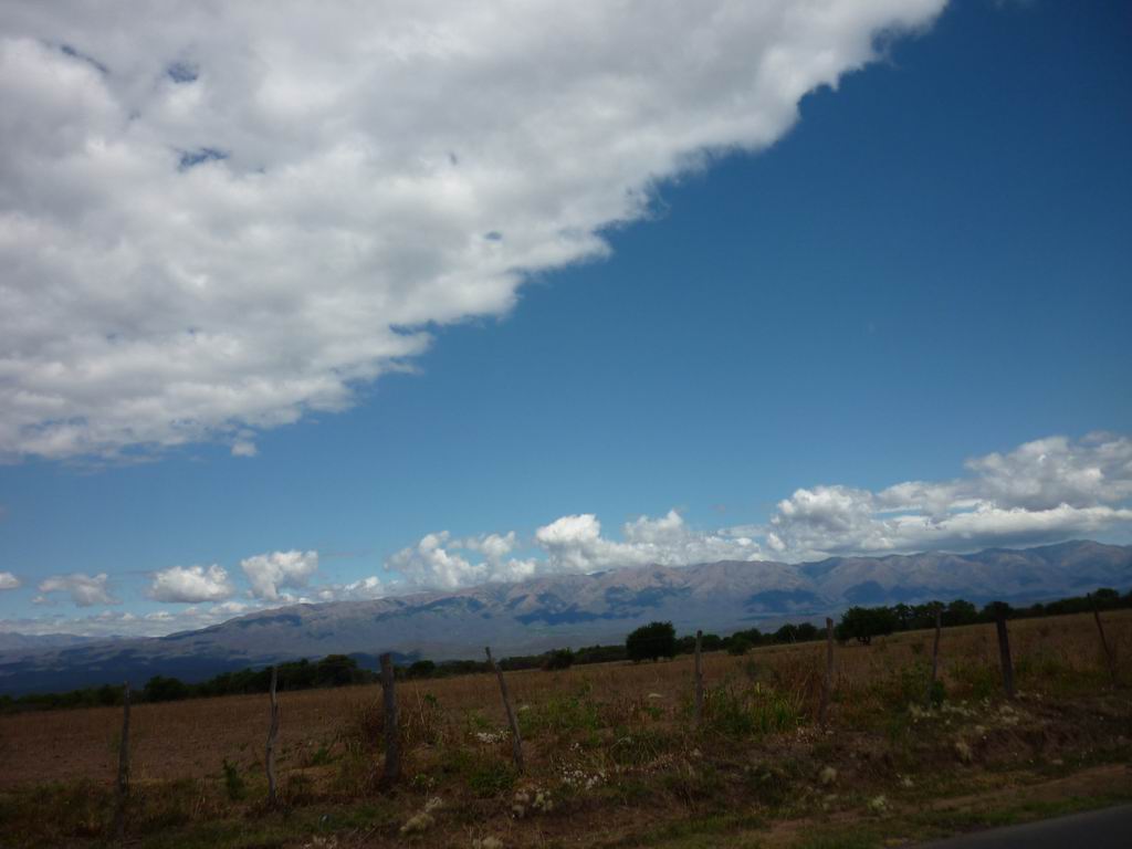 argentine_493.jpg