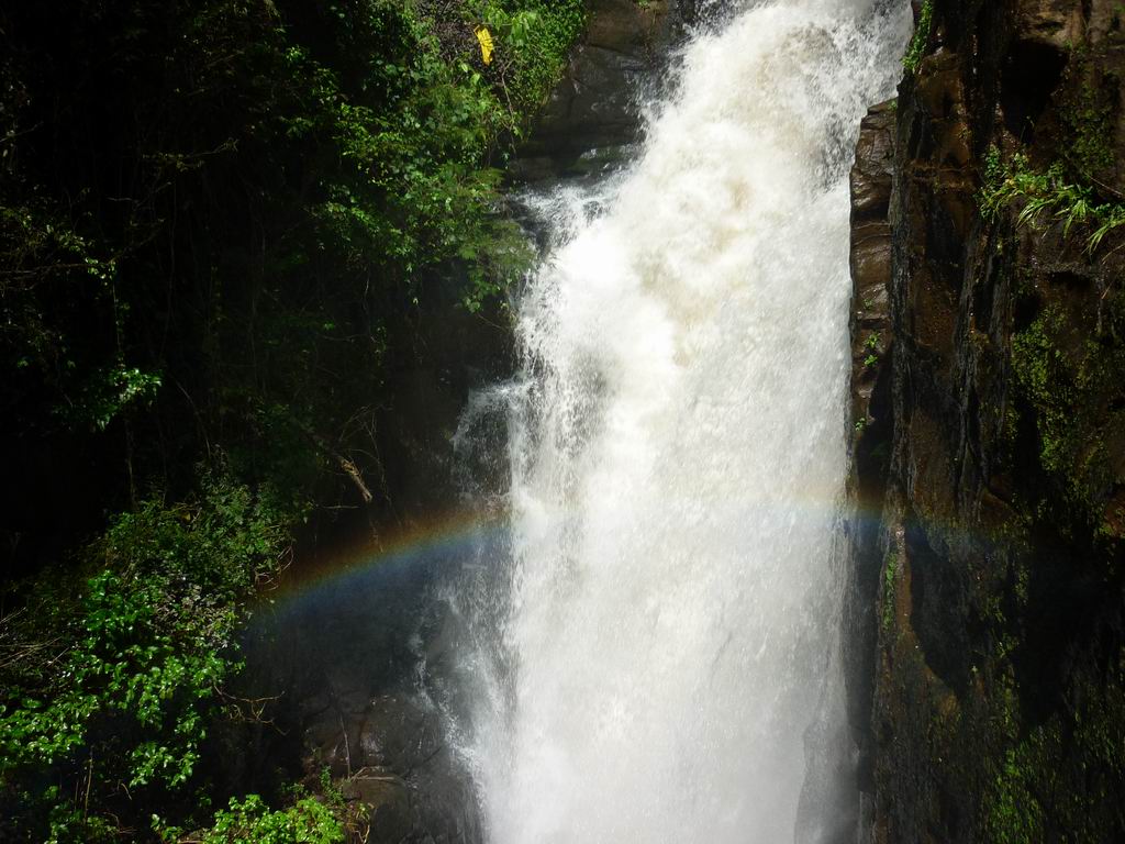 bresil_0326.jpg