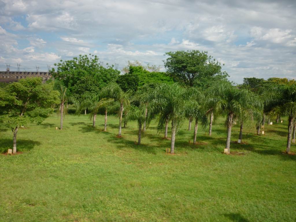 bresil_0387.jpg