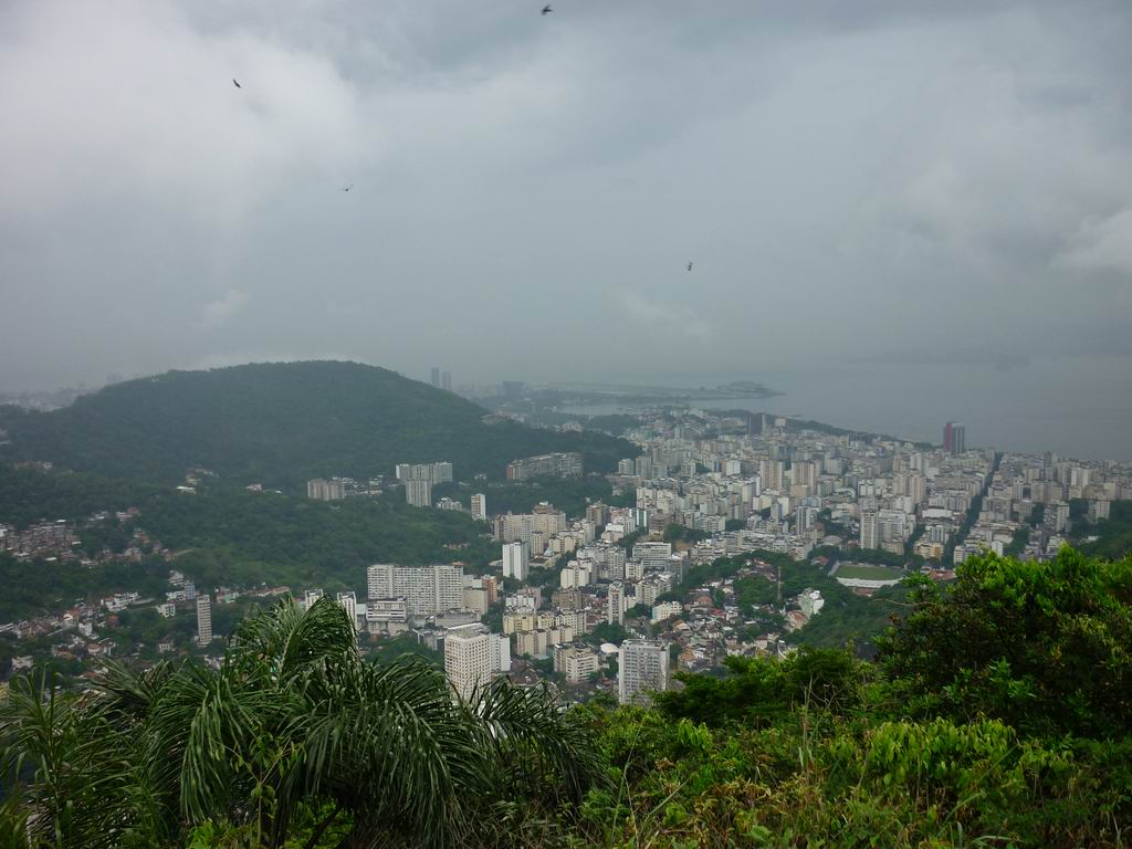 bresil_0555.jpg