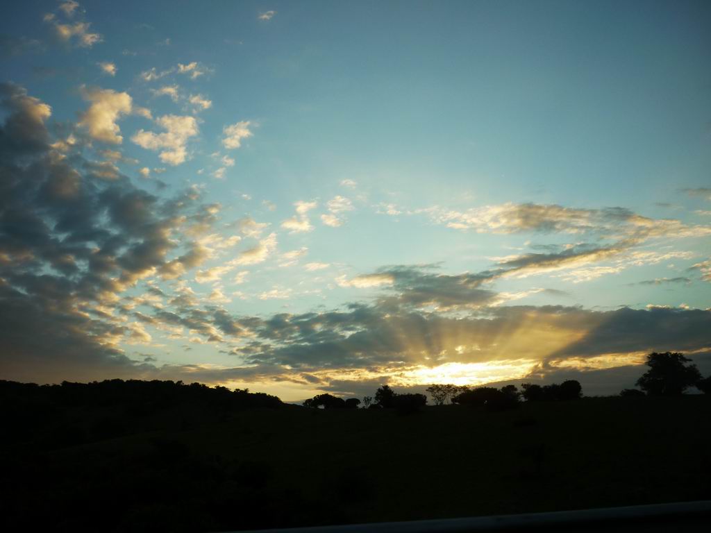 bresil_0767.jpg