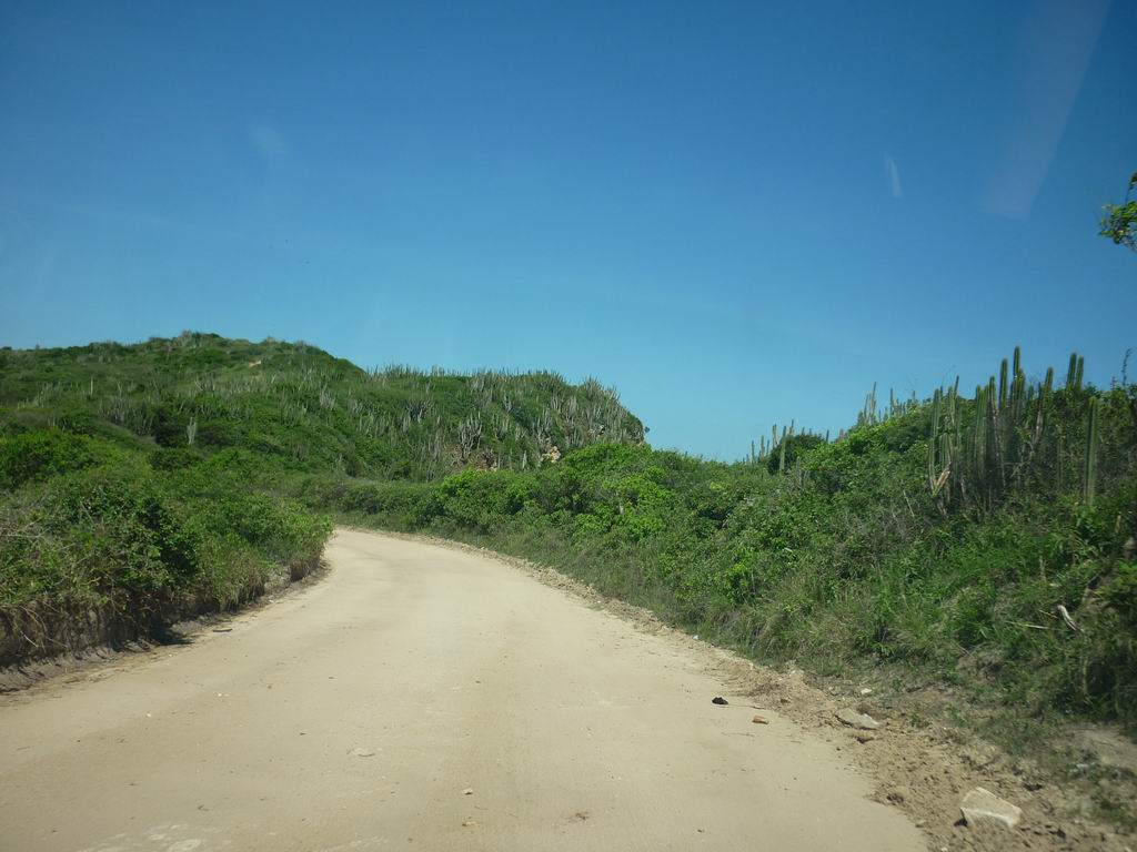 bresil_0801.jpg