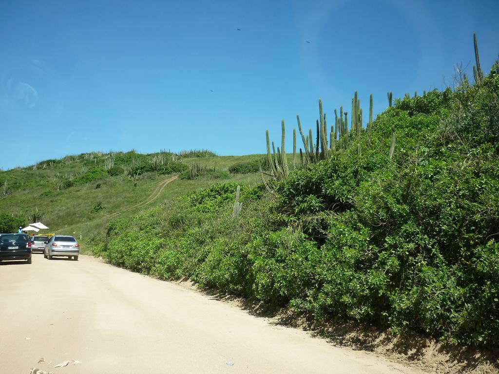 bresil_0803.jpg