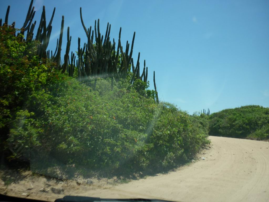 bresil_0804.jpg
