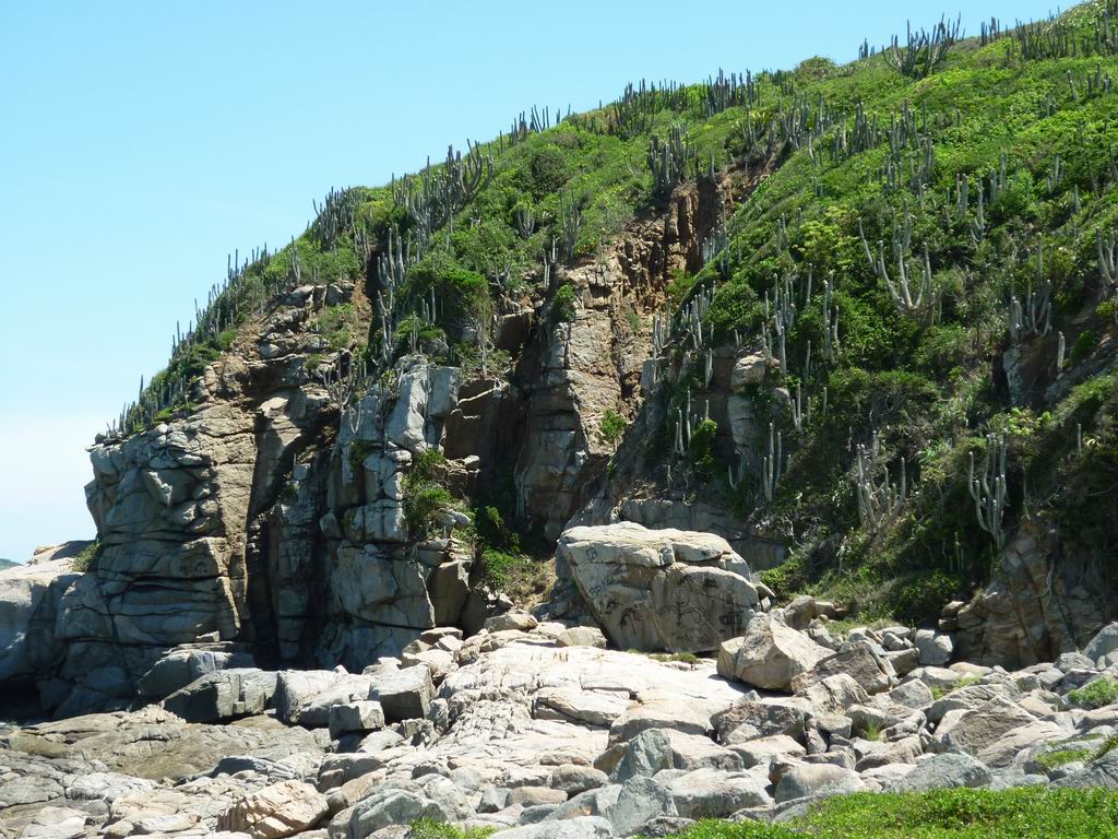 bresil_0808.jpg